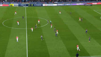 psg GIF by nss sports