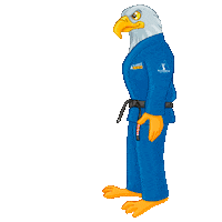 Jiujitsu Oss Sticker by Alliance Jiu-Jitsu Association