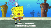 season 9 episode 6 GIF by SpongeBob SquarePants