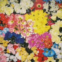 musicsquare music motion indie graphic design GIF