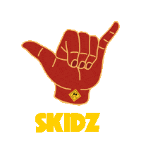 Awesome Surf Sticker by SKIDZ