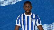 Sorry Bundesliga GIF by Hertha BSC