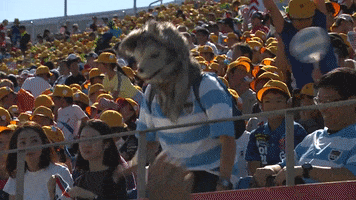 World Rugby Sport GIF by Rugby World Cup