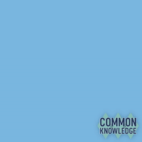 GIF by Game Show Network