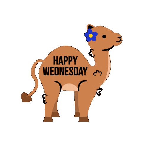Wacky Wednesday Sticker by Jessica Lau