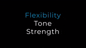 SitTwister fitness workout exercise strength GIF