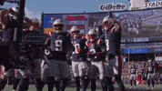 Stefon Diggs Football GIF by New England Patriots