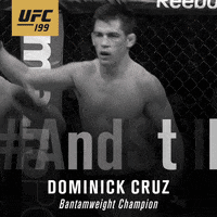 cruz champ GIF by UFC