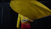 Slow Down Nascar GIF by Team Penske
