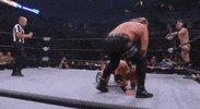 Chris Jericho ÄEw GIF by All Elite Wrestling on TNT
