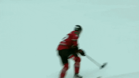 Save Cardiff Devils GIF by Champions Hockey League
