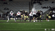 College Football Sport GIF by Texas State Football