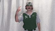 Collegebaseball Ncaadii GIF by RiverHawk Sports
