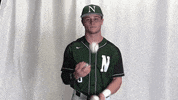 Collegebaseball Ncaadii GIF by RiverHawk Sports