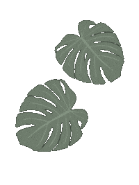 Palm Tree Beach Sticker