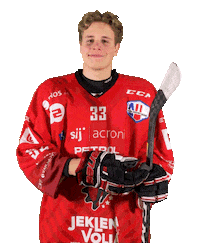 Steelers Sticker by HDD SIJ Acroni Jesenice