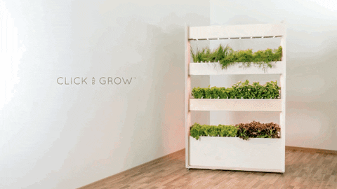 the wall farm by click & grow GIF