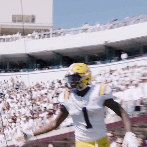 Lsu Football Win GIF by LSU Tigers