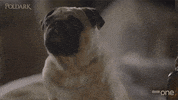 Sad Bbc One GIF by BBC