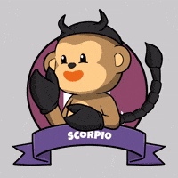 Mood Glow Up GIF by Wise Monkey Meme