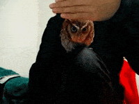 Movie Scene GIF