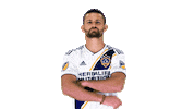 Los Angeles Galaxy Sticker by LA Galaxy