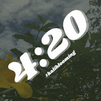 kalibloom  GIF