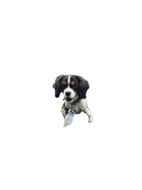 What Sticker