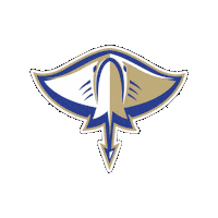 Lets Go Rays Sticker by Divine Savior Academy