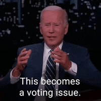 Voting Joe Biden GIF by The Democrats