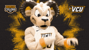 College Sports Dancing GIF by College Colors Day
