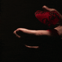 Bo7 GIF by Call of Duty