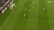 Newcastle_United usa newcastle united deandre yedlin yedlin GIF