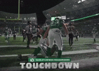 Worm Cfl GIF