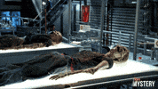 Dead Bodies Drama GIF by ION Mystery