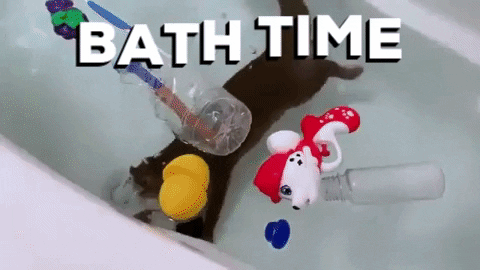 andcallmeshirley giphygifmaker adorable swimming clean GIF