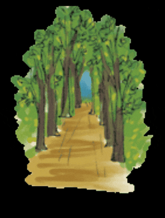 South Korea Travel GIF by vank