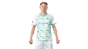 Goal Celebrate Sticker by SpVgg Greuther Fürth