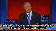 jeb bush news GIF