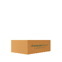 champagneforalle champagne bobler champagnekassen champagneforalle Sticker