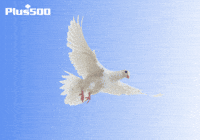 Plus500 usa trading stocks economy GIF