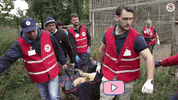 Animal Rescue GIF by FOUR PAWS Australia