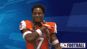 Park Seat Belt GIF by Carson-Newman Athletics