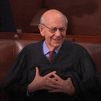 Democratic Party Thank You GIF by The Democrats