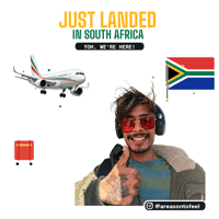 Flying South Africa Sticker by TEAM AF