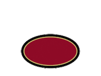 Usa Hockey Boston Sticker by World Hockey Group