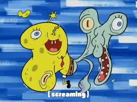 season 4 GIF by SpongeBob SquarePants