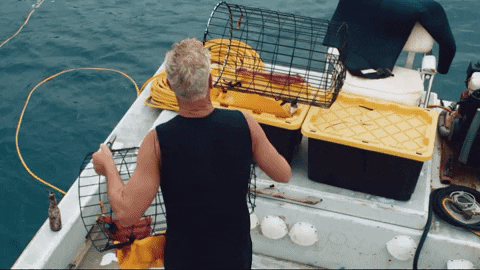 derianAnimates giphyupload GIF