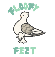 Happy Fancy Pigeon Sticker by Kyra