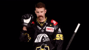 Hockey Del2 GIF by Krefeld Pinguine